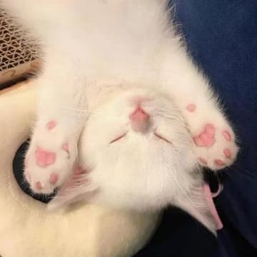 Ảnh đại diện người dùng B